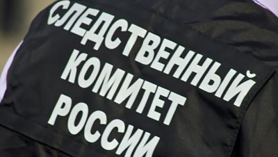 СК РФ возбудил более 300 уголовных дел по преступлениям ВСУ в Донбассе - «Новороссия»