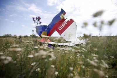 Украина передает Нидерландам дело о сбитом Boeing-777 рейса MH17 - «Новороссия»