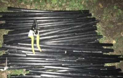 В Киеве иностранцы украли 80 метров кабеля правительственной связи - «Украина»