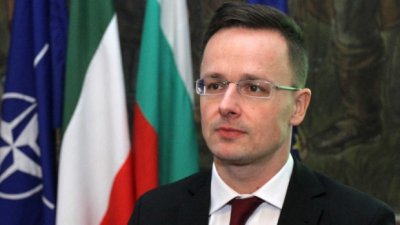 Венгрия напомнила Украине условие отмены блокировки интеграции в НАТО - «Новороссия»