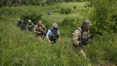 Зеленский намерен через год завершить войну в Донбассе - «Новороссия»