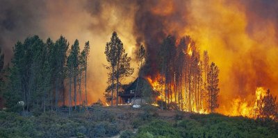 Генпрокуратура: региональные власти искажали статистику по лесным пожарам