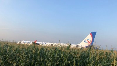 Источник в СК РФ назвал основную версию жесткой посадки A321 в Подмосковье - «Новороссия»