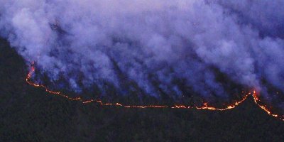 Италия предложила помощь в тушении лесных пожаров в Сибири
