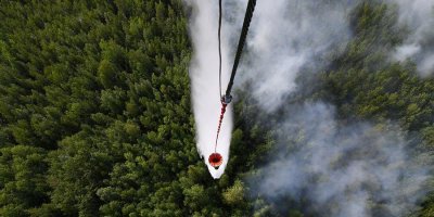 Площадь лесных пожаров в России снова увеличилась