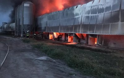 Под Киевом снова горит птицефабрика - «Украина»