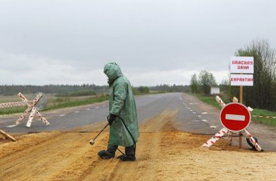 Санитары увезли боевиков ВСУ с подозрением на чуму в неизвестном направлении - «Новороссия»