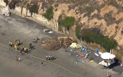 В США на пляж рухнула скала, есть жертвы - (видео)