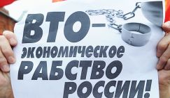 Германия назло России решила и дальше «отмораживать уши» - «Политика»