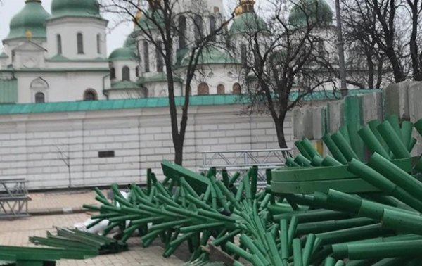 В Киеве начали устанавливать новогоднюю елку - «Украина»
