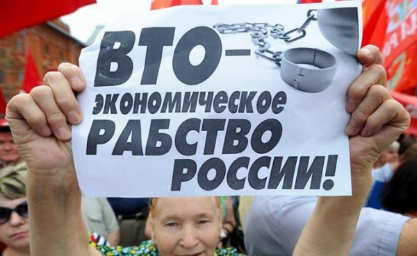 Юрий Болдырев: «Суда ВТО больше нет, но приговор России вынесен» - «Мир»