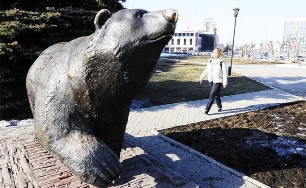 Запад разбудил русского медведя: Россия выбирает символ силы - «Общество»