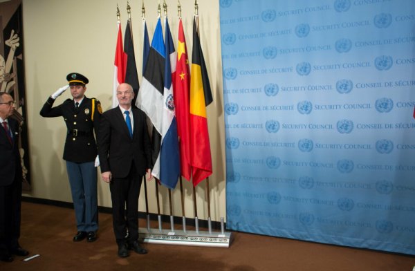 Эстония пообещала сохранить тему «оккупации Крыма» в повестке ООН - «Новороссия»