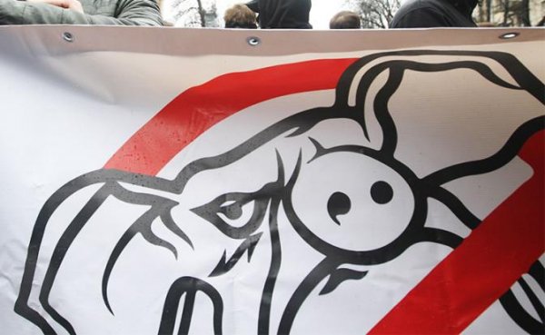 Хозяева пиццерии на Украине: «Русским свиньям вход запрещен» - «Общество»