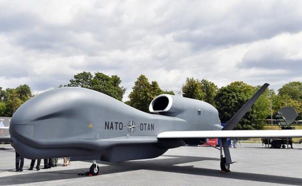 НАТО запускает ястребов-шпионов - «Военные действия»