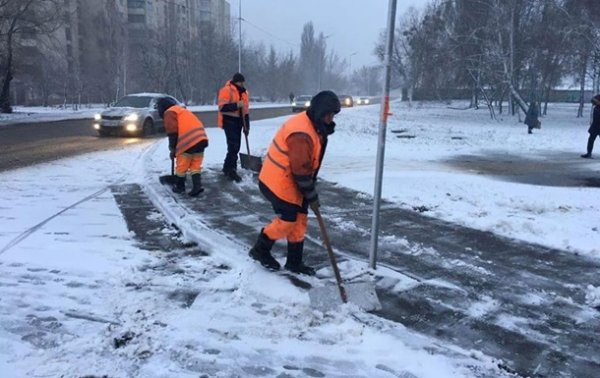 Циклон Petra засыпал Киев снегом - «Украина»