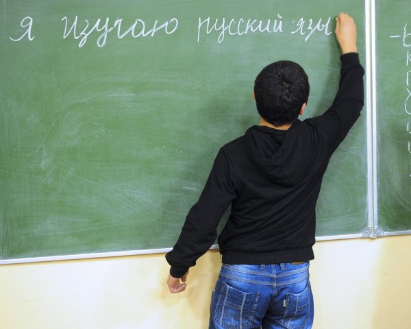 Опрос: Почти три четверти населения Украины выступили за возвращения русского языка в школу - «Новороссия»
