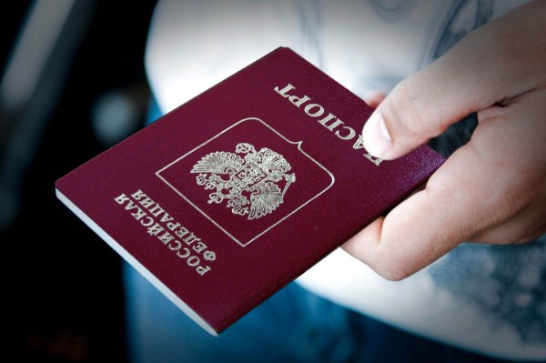Правительство РФ упростит получение гражданства жителям Украины - «Новороссия»