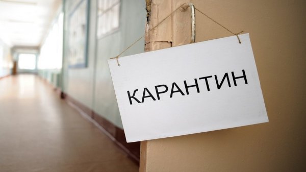 Руководство Николаевской области закрыло почти 100 школ из-за гриппа - «Новороссия»