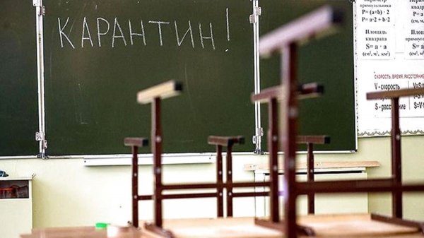 В Днепропетровске из-за эпидемии гриппа закрыты все учебные заведения - «Новороссия»