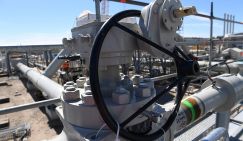 Шашлык по-американски: США начинают обработку ближнего российского зарубежья - «Политика»