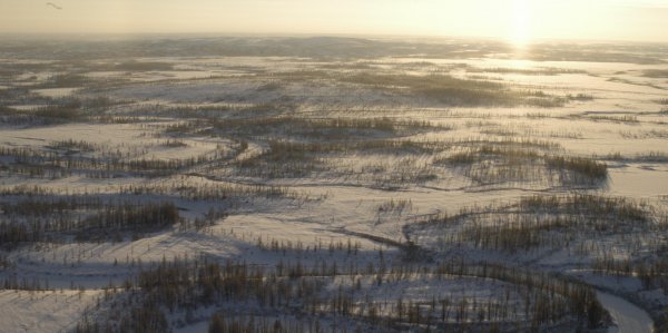 Синоптики назвали регионы России с самым заметным потеплением