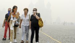 Аномалии погоды: Лето-2020 станет более страшной версией 2010-го - «Общество»
