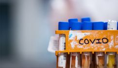 Коронавирус сносит короны и выносит приговор либеральной верхушке - «Политика»