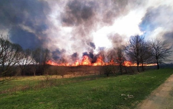 В Украине с начала года почти 15 тысяч природных пожаров - (видео)