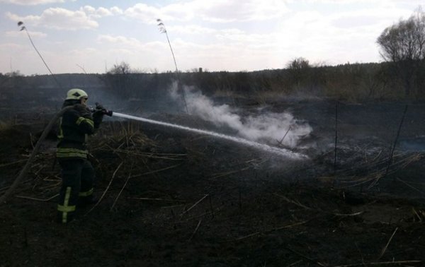 В Киеве ликвидировали возгорание торфа - «Украина»