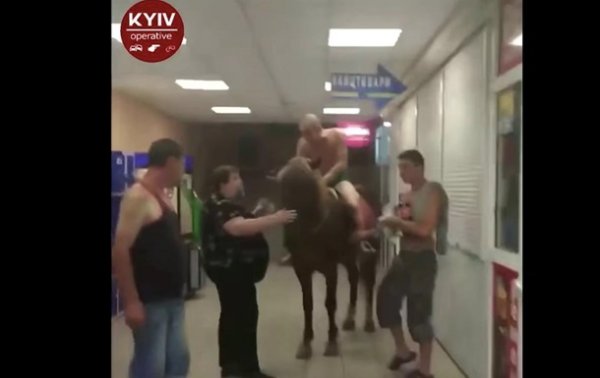 Киевлянин в трусах заехал на коне в супермаркет - «Украина»