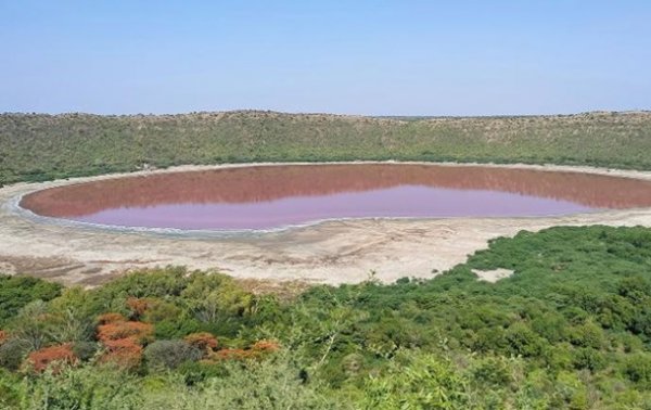 Порозовевшее озеро в Индии показали на видео - (видео)