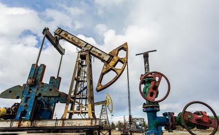 Напрасные надежды: Нефть дороже не станет - «Экономика»
