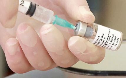 Патолог Жанна Шмидт: «Создать вакцину от коронавируса невозможно!» - «Общество»