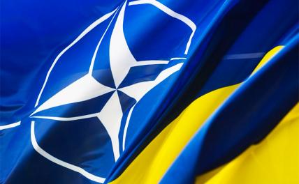Поматросят и бросят: Вассерман об Украине в НАТО — это никому не нужные красивости - «Военные действия»