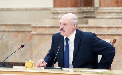 «Саша 3%» и «Усатый таракан»: Президент Белоруссии обзавелся обидными прозвищами - «Политика»