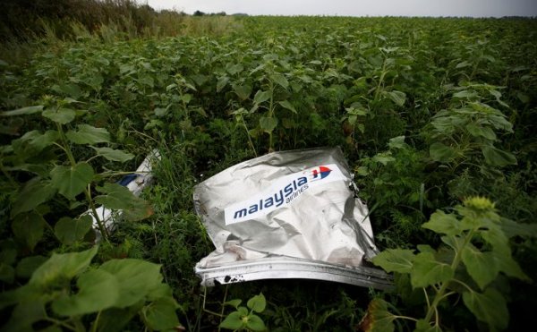 Нидерланды открыли расследование против Украины по делу MH17 - «Новороссия»