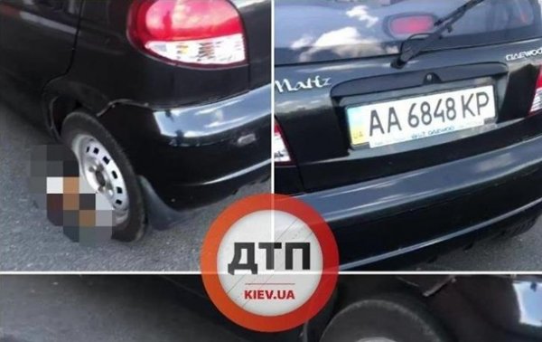 В Киеве водитель оставил труп кота под авто. 18+ - «Украина»