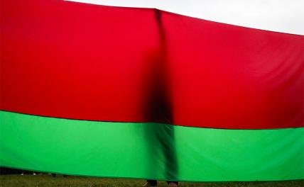 Белоруссия стала «зоной интересов» для многих стран - «Политика»