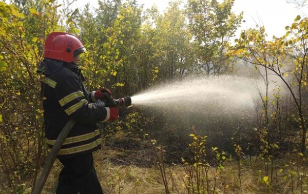 Спасатели на Луганщине тушат масштабный пожар - (видео)