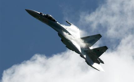 Русская «пальма-масляная мафия» сорвала поставку Су-35 в Индонезию - «Военные действия»