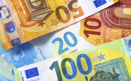 «Срочно продавайте евро: „Черный лебедь“ взлетает из Франции» - «Экономика»