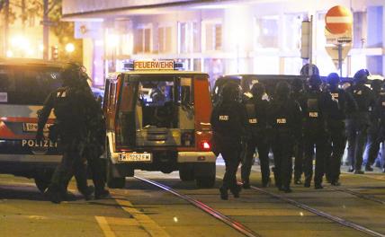 Теракт в Вене и далее везде - «Происшествия»