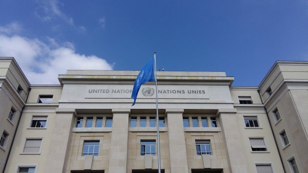Республики Донбасса представят свою позицию на заседании Совбеза ООН - «Новороссия»