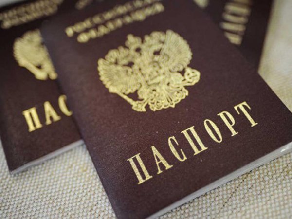 Депутат Госдумы РФ назвал число жителей Донбасса, получивших российские паспорта - «Новороссия»