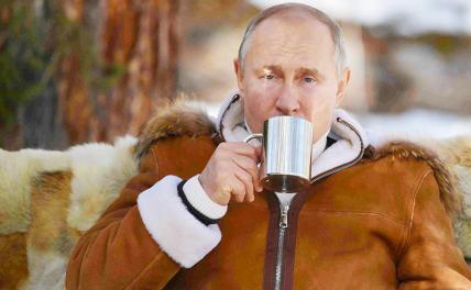 Ради троллинга в тайгу летят Путин и Шойгу - Свободная Пресса - «Политика»