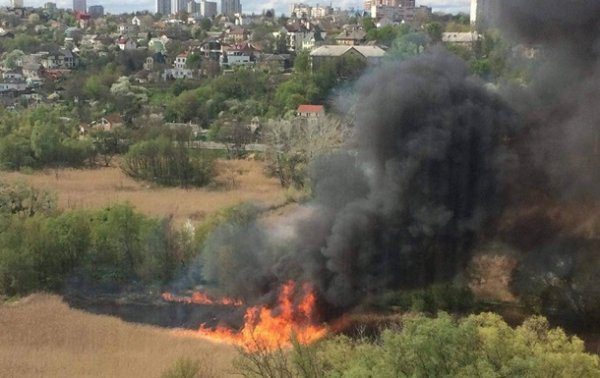 В Киеве возник пожар в парке Совские пруды - «Украина»