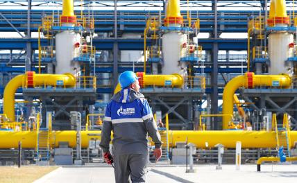 Цены на газ: Меркель, когда в Москву прилетит, постарается Путина и «Газпром - «Экономика»