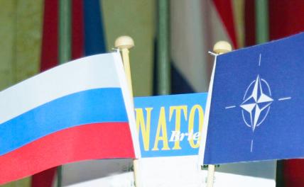 Путина выставили в открытые двери НАТО - Статьи - Политика - Свободная Пресса - «Политика»