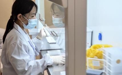 Китайские ученые избавят человечество от диабета и бесплодия - «Мир»